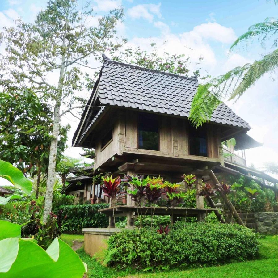 Bali Mountain Retreat Villa Selemadeg  Buitenkant foto