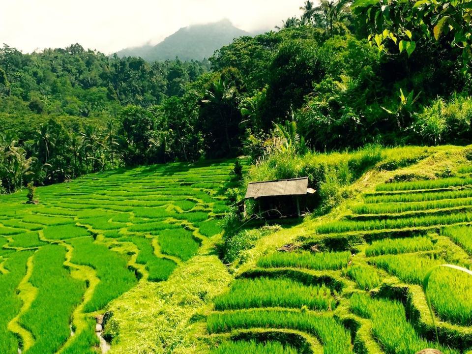 Bali Mountain Retreat Villa Selemadeg  Buitenkant foto
