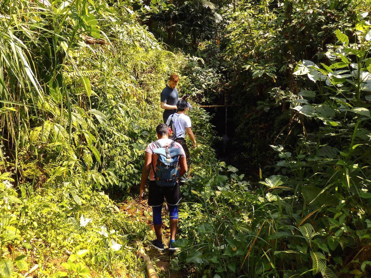 Bali Mountain Retreat Villa Selemadeg  Buitenkant foto