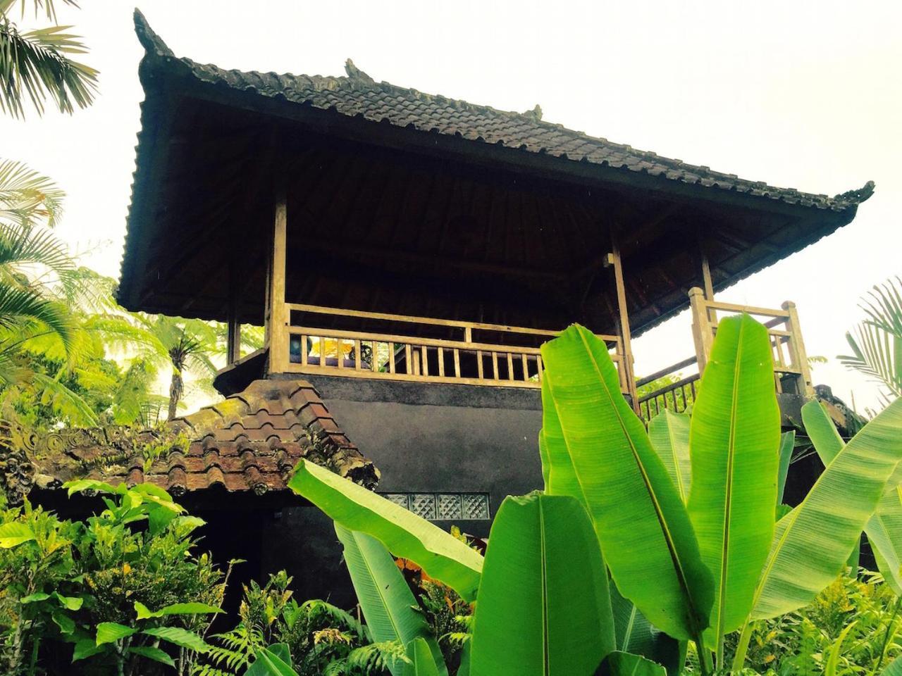 Bali Mountain Retreat Villa Selemadeg  Buitenkant foto